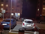 nearperedelkino_IMG_20160406_210629.jpg