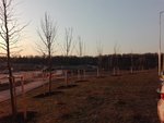 np_IMG_20160412_185319.jpg