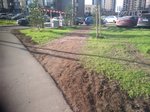 IMG_20160504_063120.jpg
