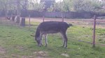 20160510_170945.jpg
