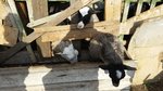 20160510_171513.jpg
