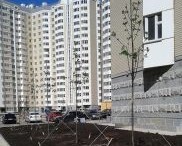 Работы по озеленению Переделкино Ближнее