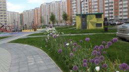 Переделкино Ближнее